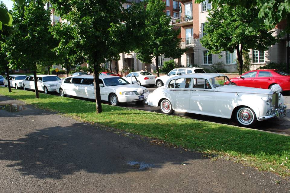 Ambiance Limo Wedding