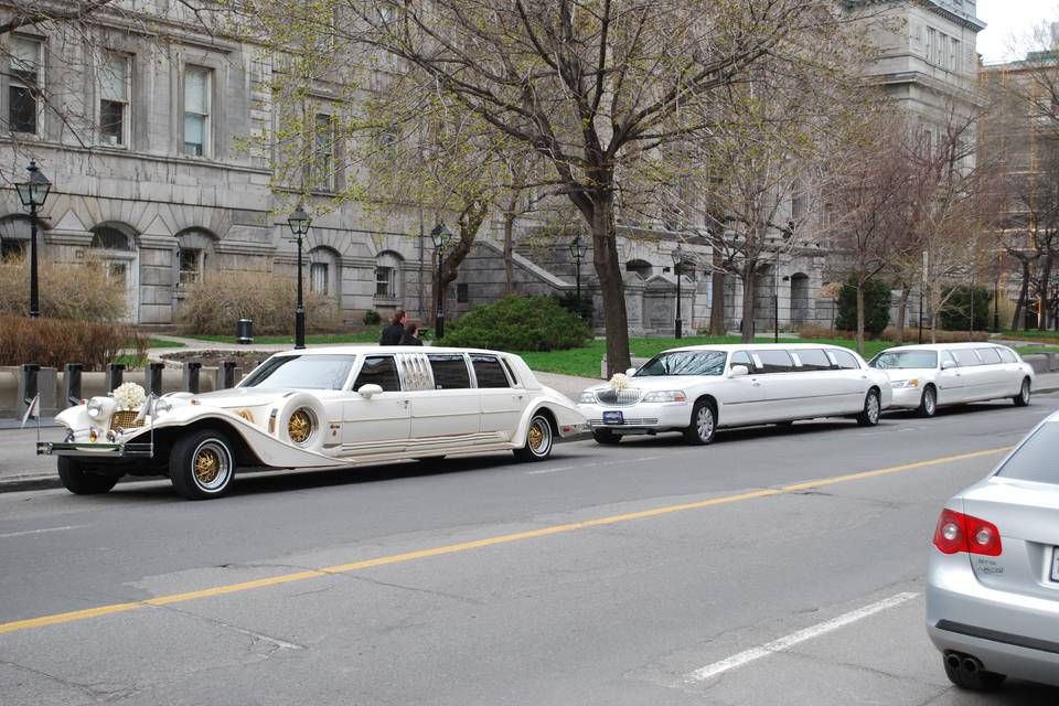 Ambiance Limo Phantom