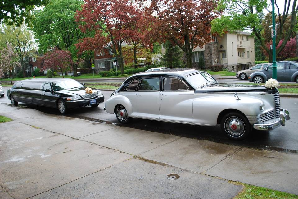 Ambiance Limo Packard