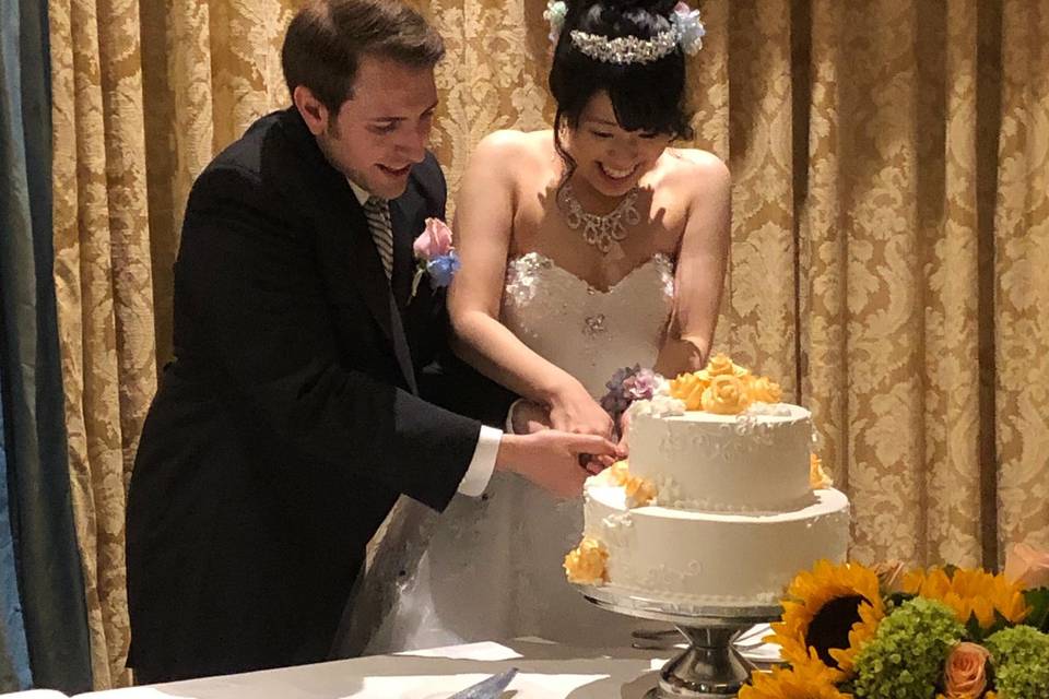 Cake Cutting