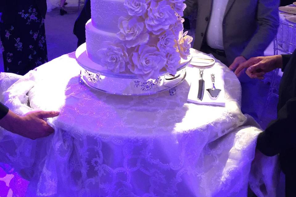 Amazing Cake