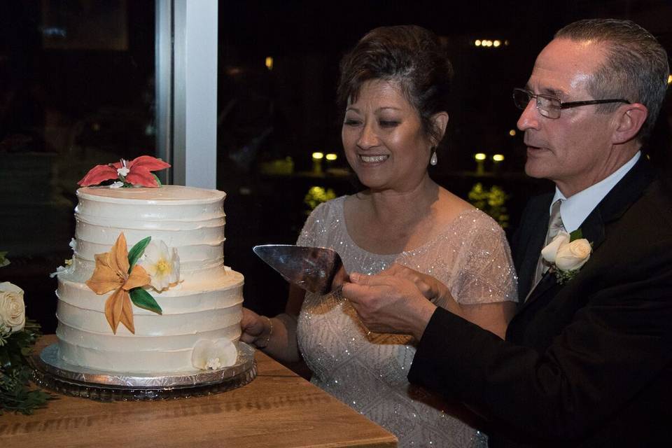 Cake Cutting