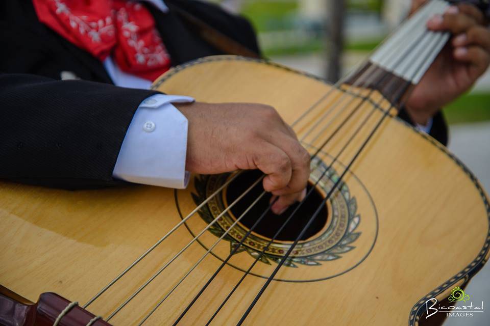 Wedding Mariachi Band