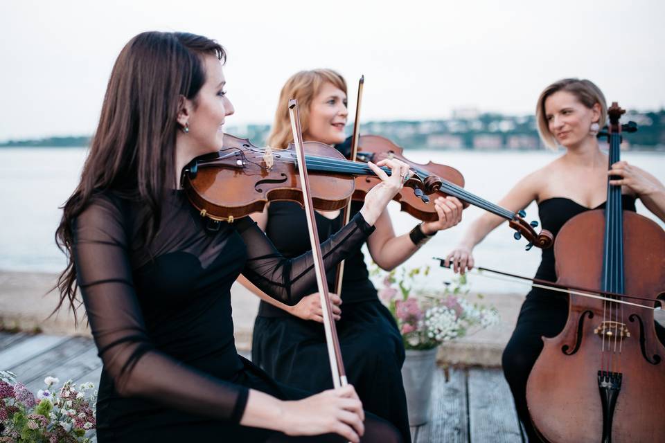 Collectif de la Cité, String ensembles