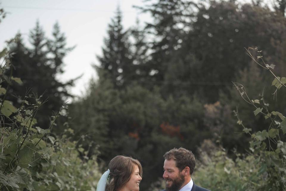 Bride and Groom in a Vineyard