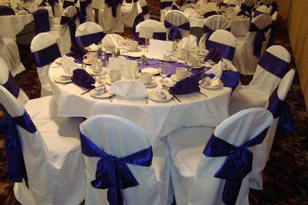 Blue Chair cover.jpg