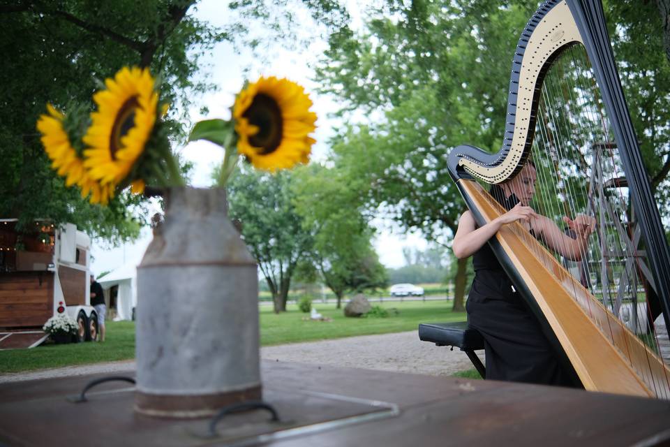 Harpist Wedding Music