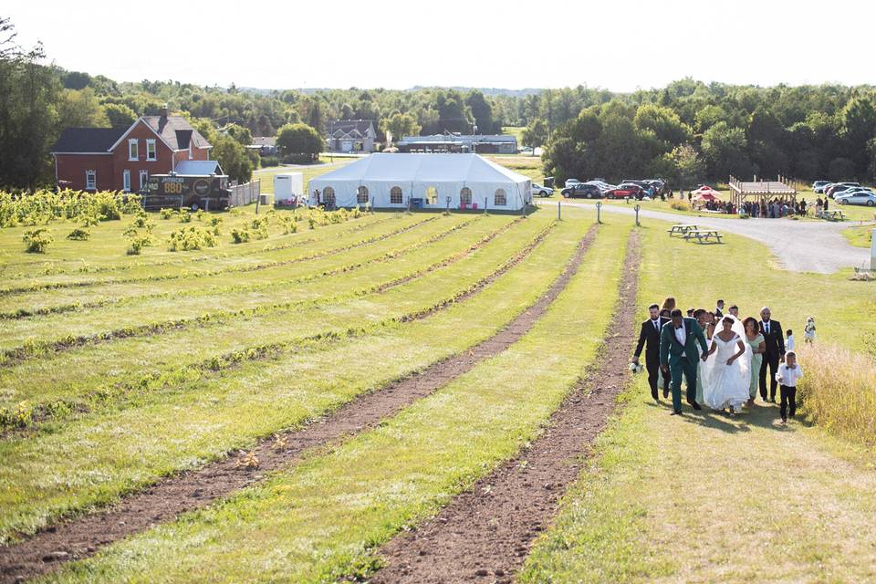 Winery Wedding Tented