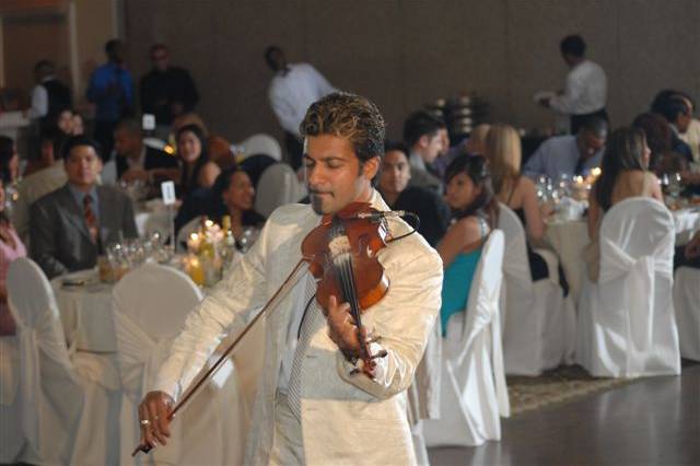 Violinist Toronto Wedding Live