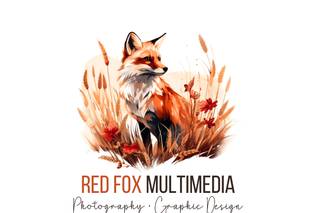 Red Fox Multimedia