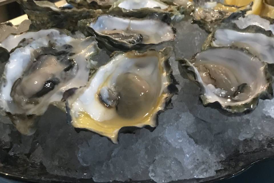 Fresh BC oysters