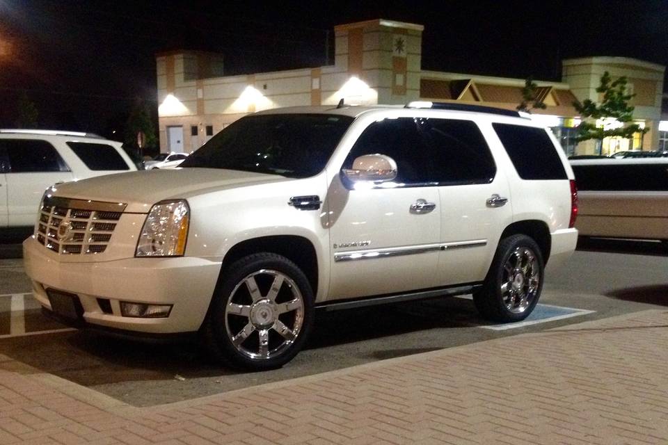 Executive style limo