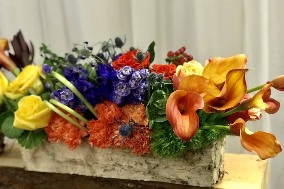 Vibrant Colour Centrepiece