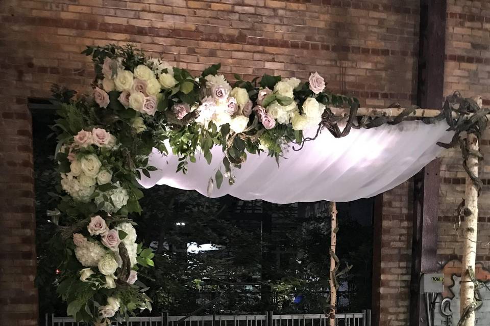 Birch Chuppah