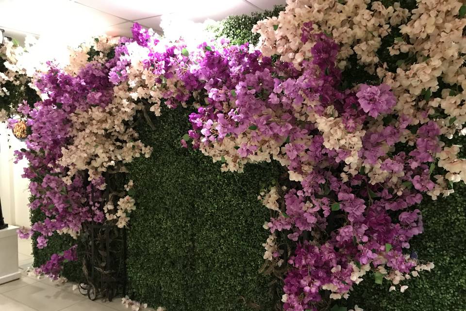 Bougainvillea Wall