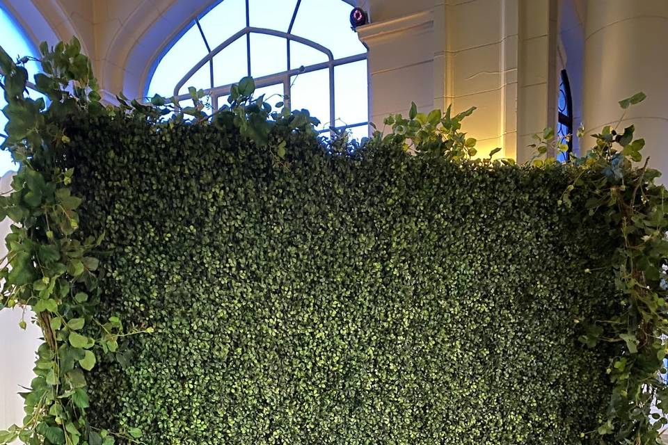 8'x8'Boxwood Wall