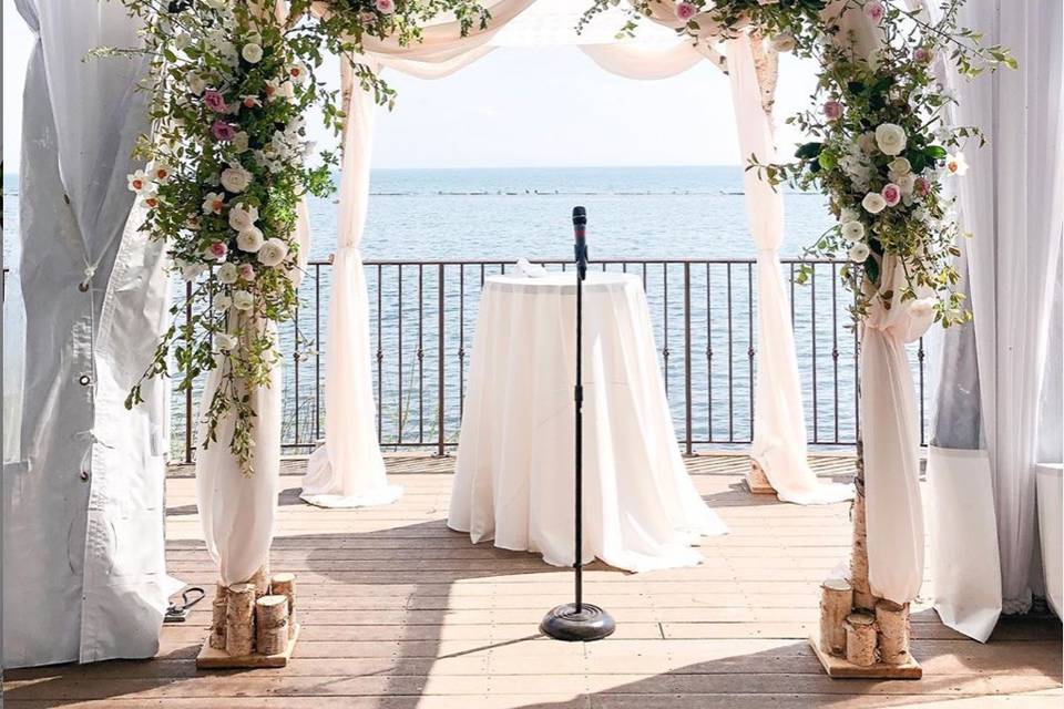 Birch Chuppah