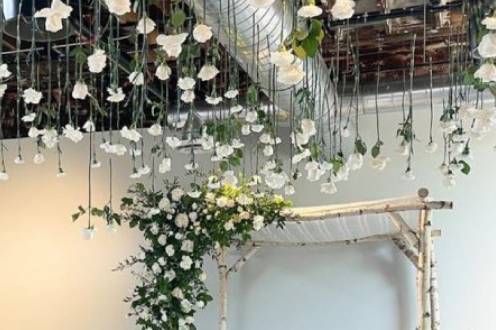 Birch Chuppah