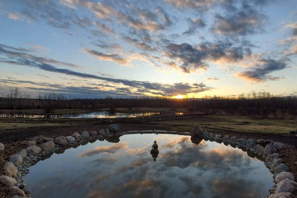 The Reflection Pond