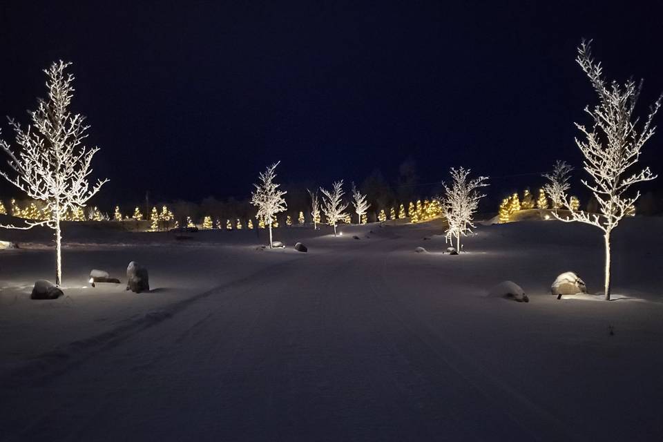 Obsidian Ridge at Night