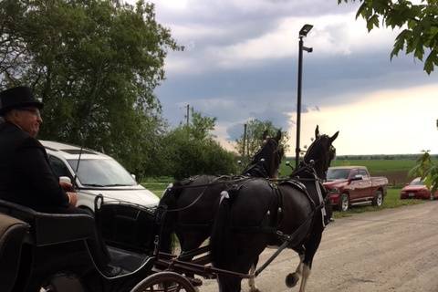 Horse and carriage