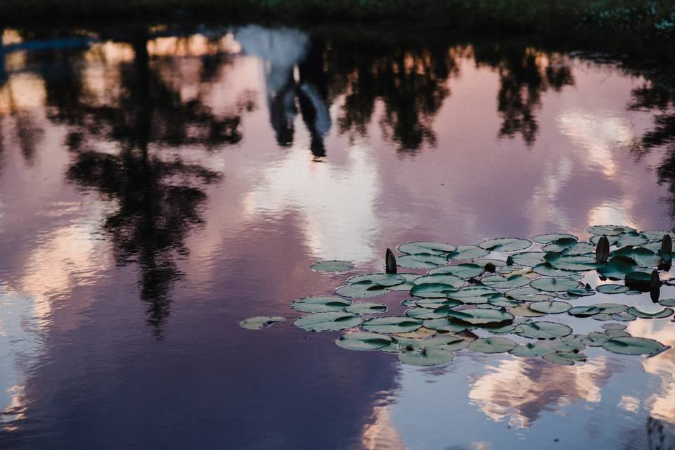 A shot of the water