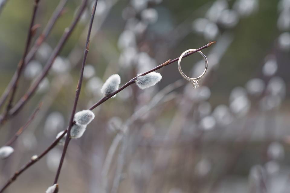 Engagment Ring