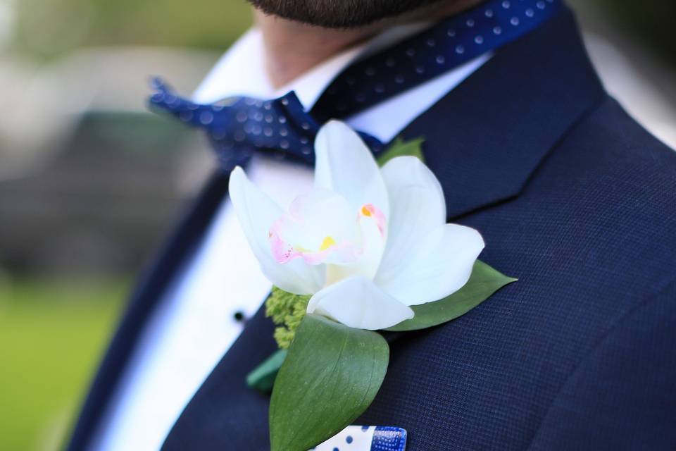 Polka Dot Pocket Square