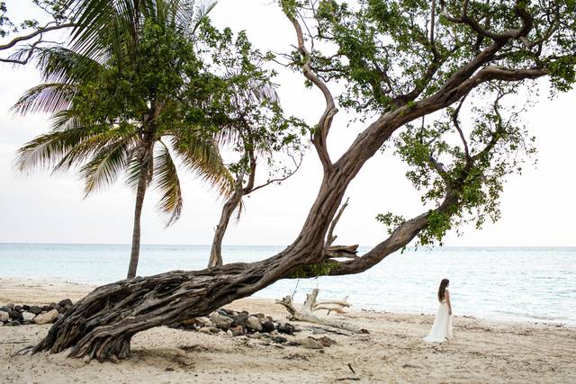 Destination Weddings