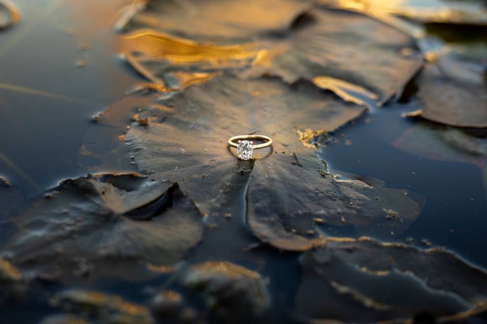Engagement Session