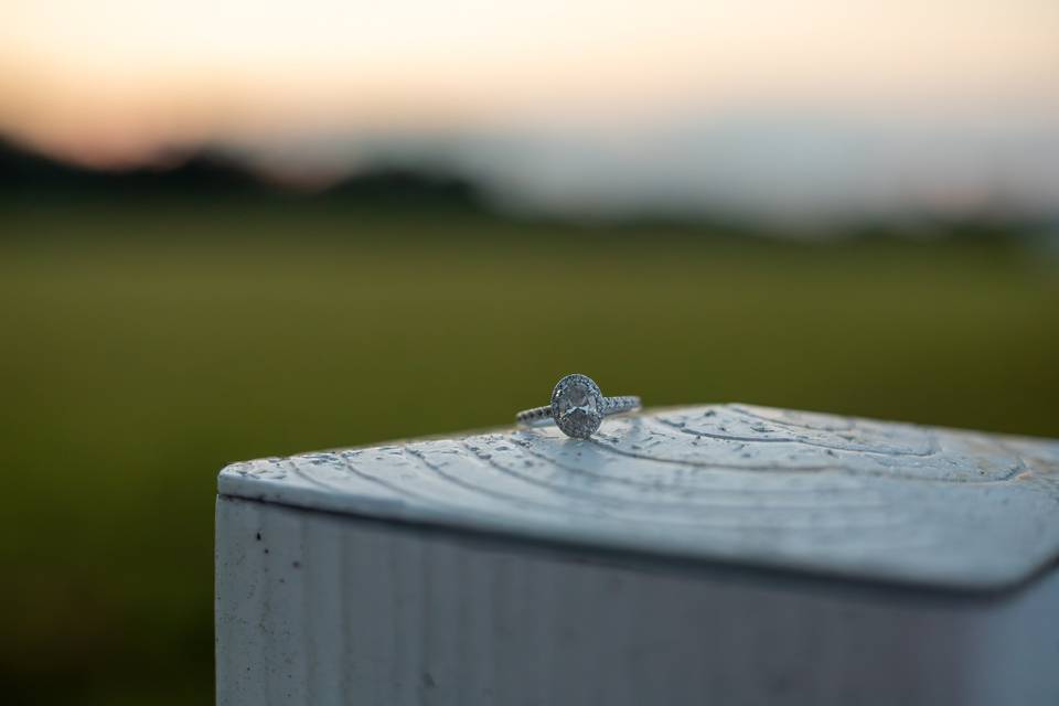Engagement Session