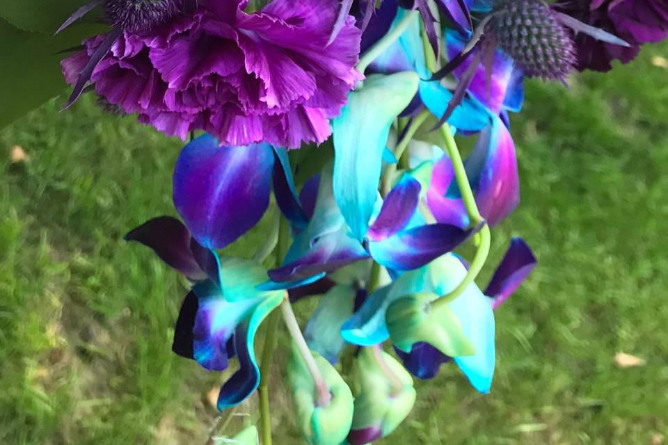 Purple and blue orchids
