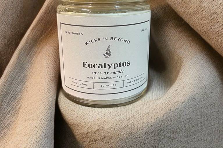 Eucalyptus