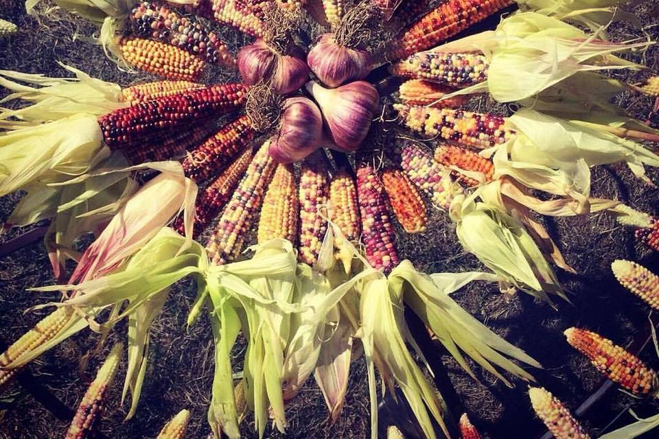 Vegetable mandala