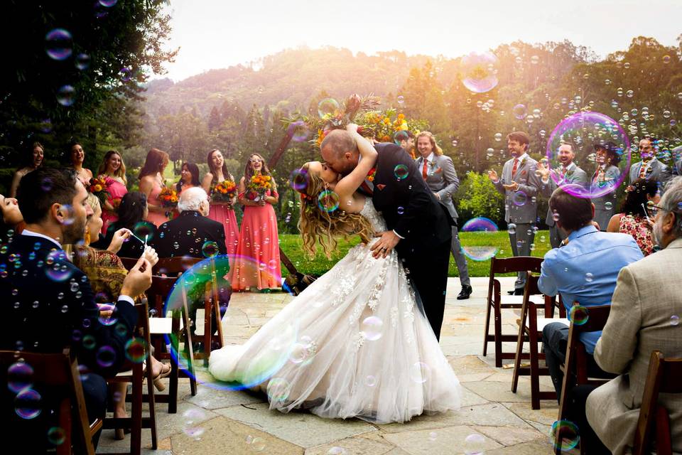 Brandi Rollins Photography