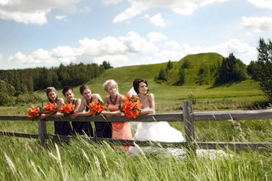 Wedding party in the countryside