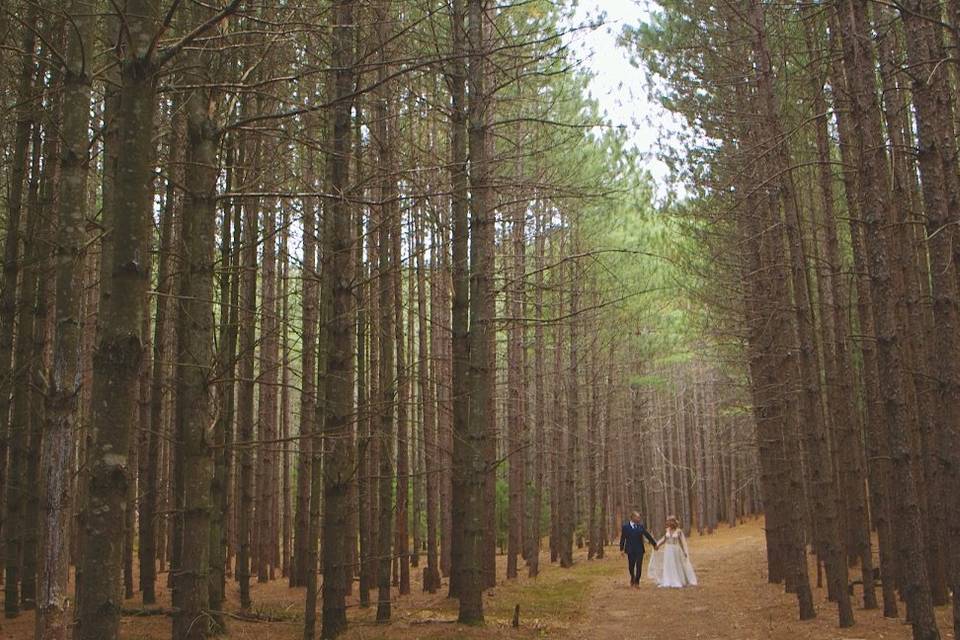 A tree-lined walk - Ripeful Heart Wedding Films