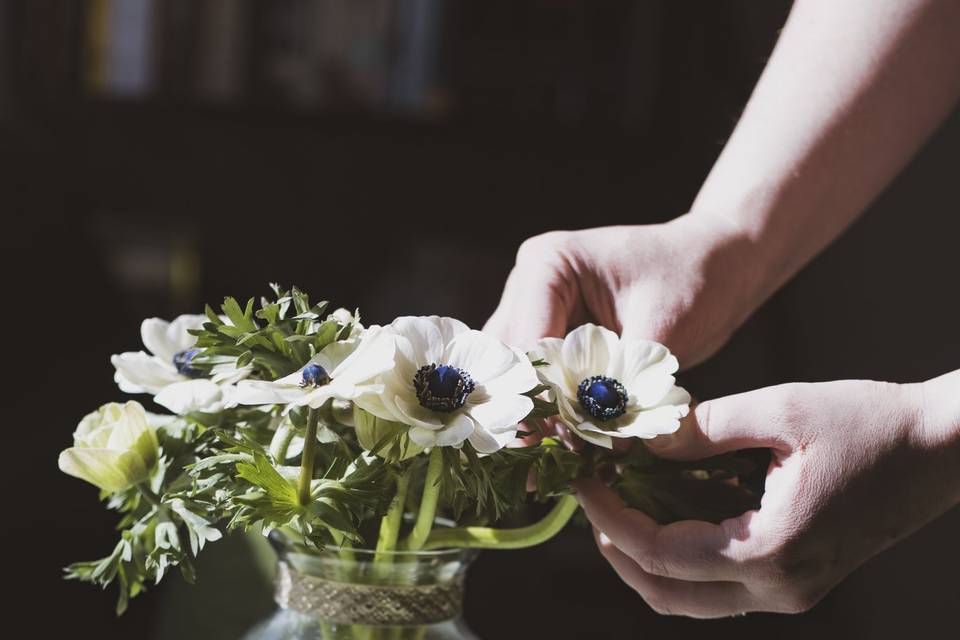 White Panda Anenome