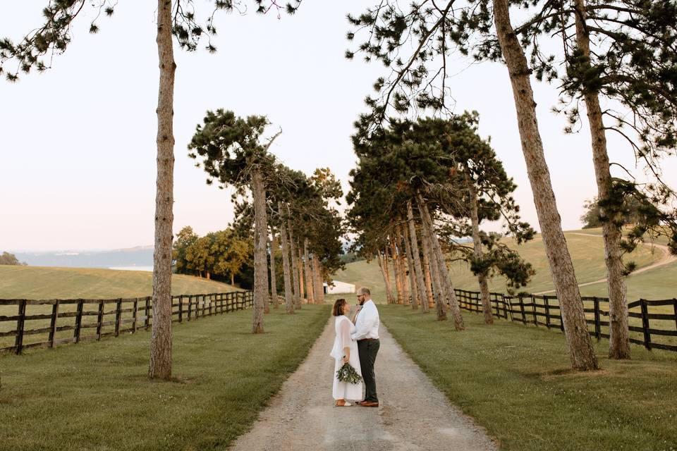 Bride + groom portraits