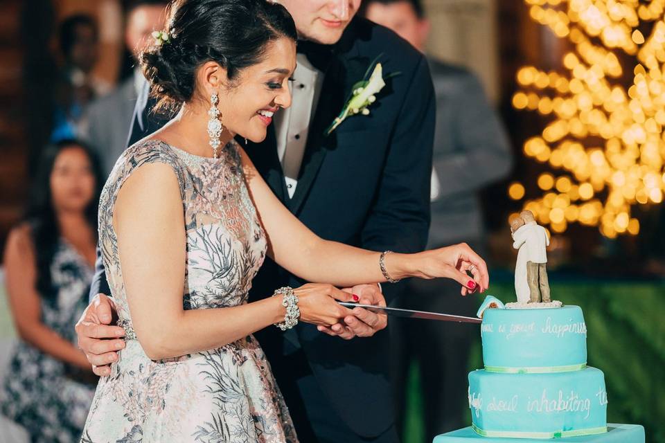 Cutting cake bride groom