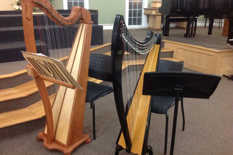 Smithers 2 harp performance