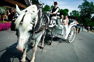 Helix Reel Weddings