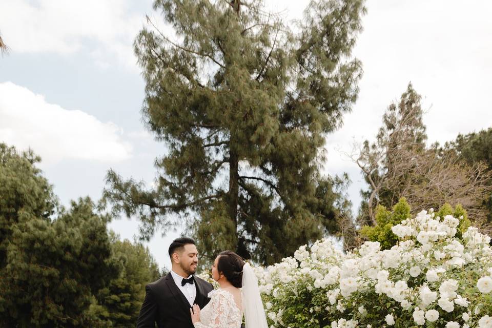 Bridal portraits