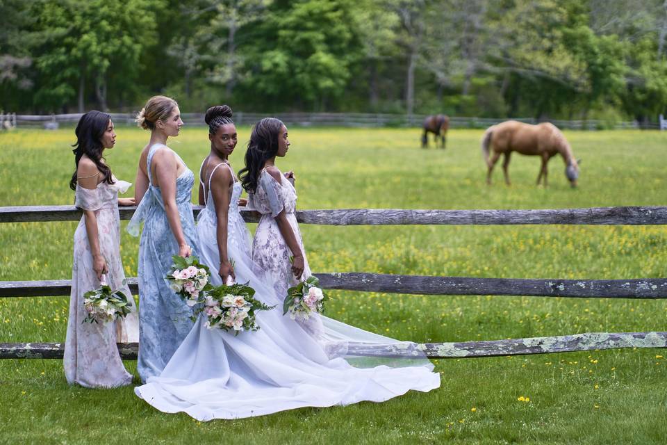 Bridesmaids and the Bride