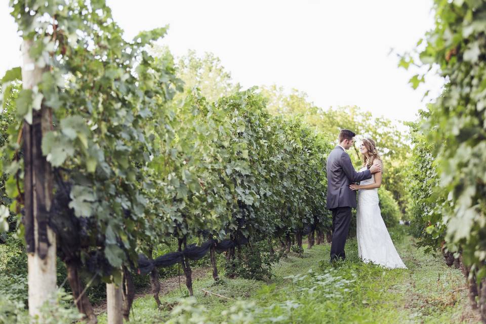 Winery wedding