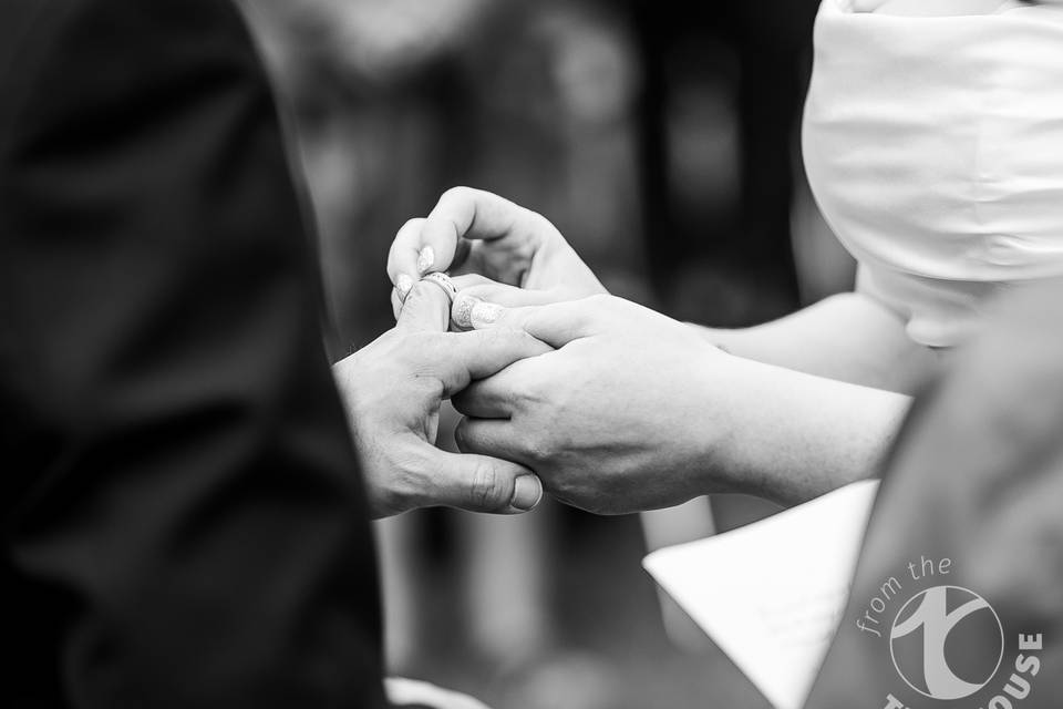 Meghan and Brandon 2017
