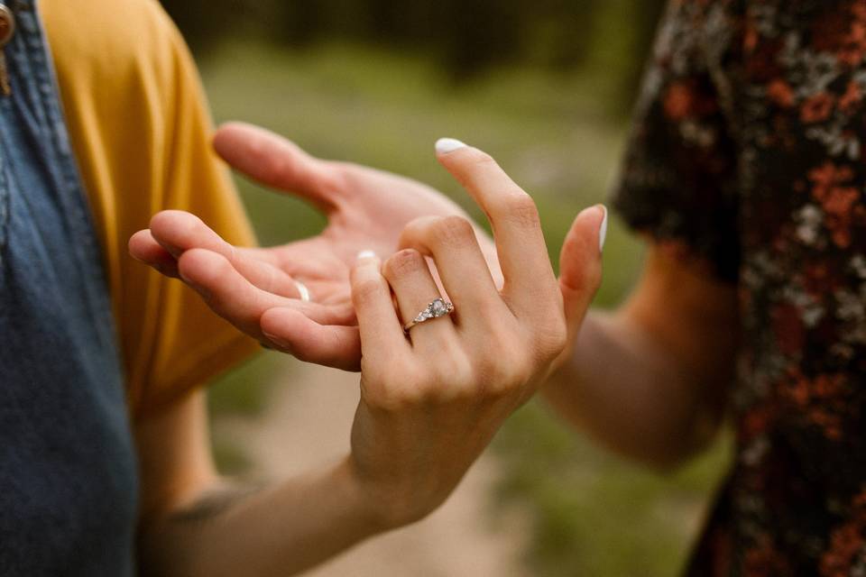 Austin and autumn proposal