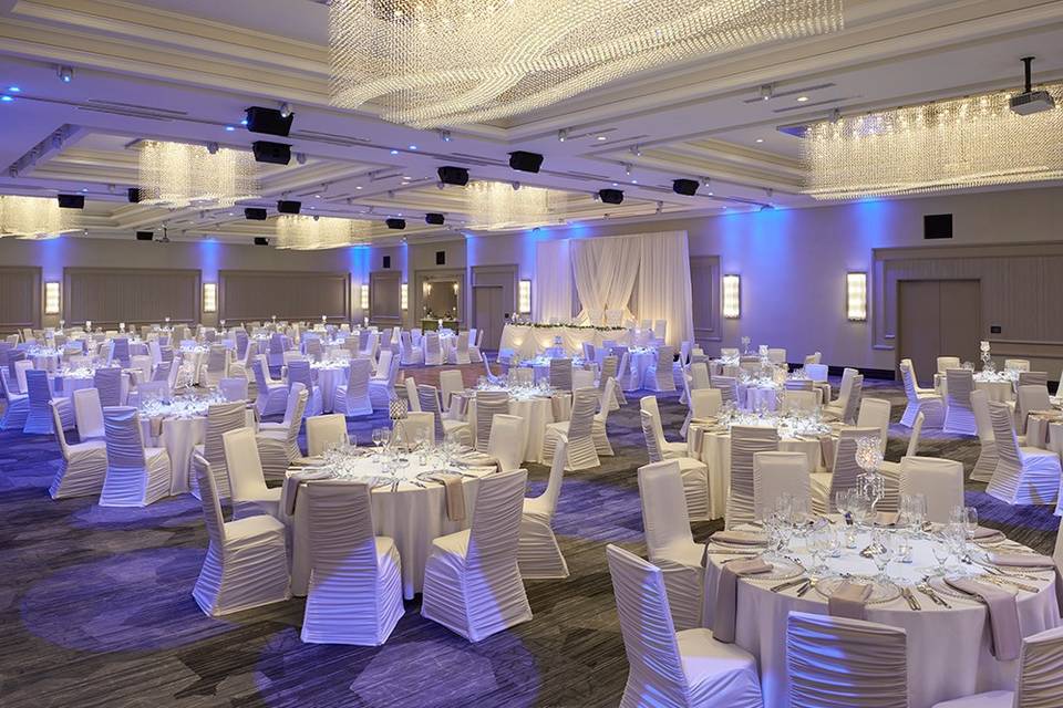 Wedding Reception