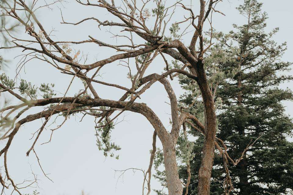 Love in wide frame