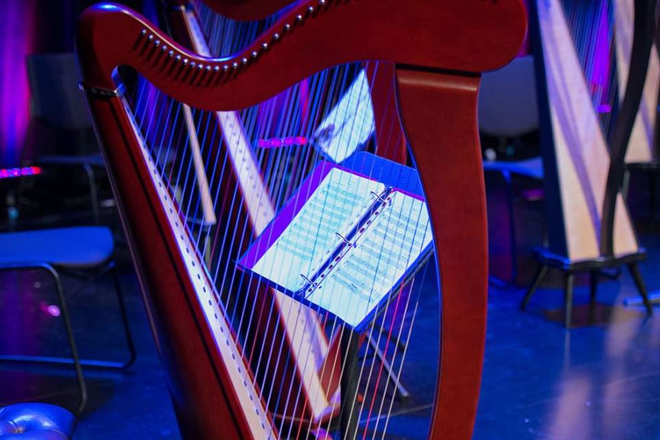 Véronique Couturier - Harpist